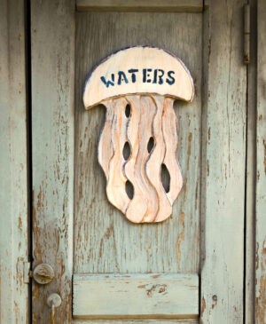 Дерев'яна медуза