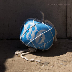 Декоративний буй у сітці